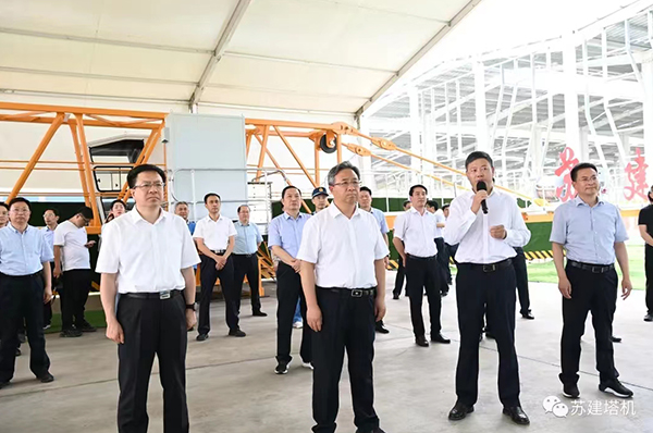 宿遷市委書記王昊，市長陳忠偉考察我公司(圖1)