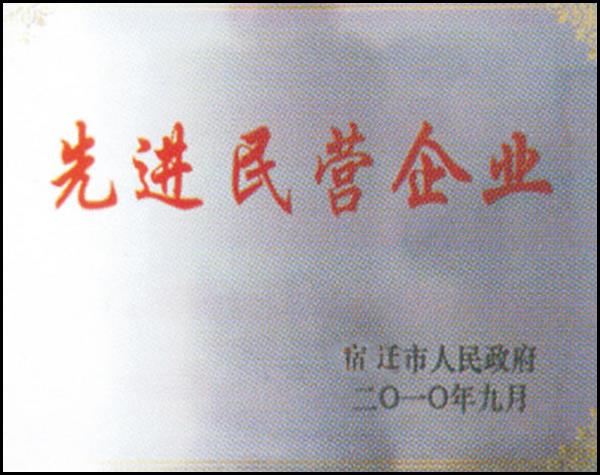 先進民營企業(yè)(圖1)